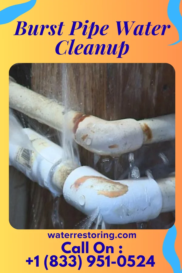 Burst Pipe Water Cleanup in Norris, SC
