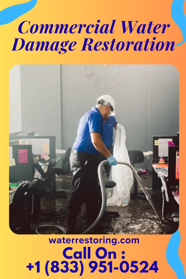Commercial Water Damage Restoration in Norris, SC